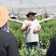 Exitoso curso de arándanos contó con destacados expertos que abordaron los desafíos del cultivo en México