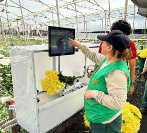 Innovaciones desarrolladas por la Universidad de Antioquia llegan al sector floricultor colombiano