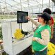 Innovaciones desarrolladas por la Universidad de Antioquia llegan al sector floricultor colombiano