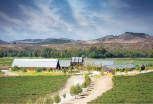 Agéndate ya: Día de Campo en el principal Centro de investigación e innovación de la industria del vino