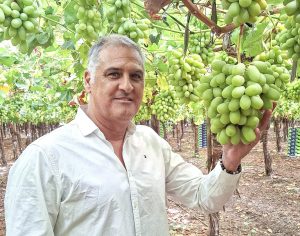 “No sacamos nada con enviar una fruta que no sea del gusto de un europeo, norte americano o un asiático”
