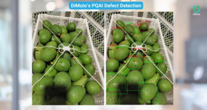 Aguacates peruanos viajan a China con calidad verificada desde el origen usando IA