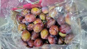 Ciruelos: Producción avanzada gracias a una experiencia de más de medio siglo