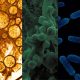 ATENS presentará en Chile los últimos avances en bioestimulantes y biocontrol