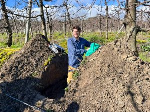 La calidad de manejo del suelo evoluciona en uva de mesa