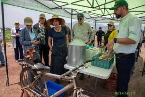 El Gobierno mexicano y el CIMMYT reafirman su compromiso en pro de los sistemas agroalimentarios