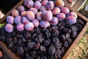 Valor de las exportaciones de la agroindustria chilena crecieron 33% durante el primer semestre