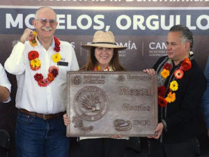 Estado de Morelos recupera la Denominación de Origen del mezcal