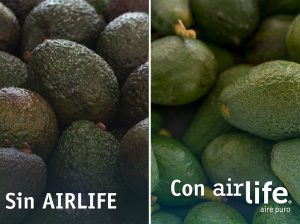 Implementa la tecnología Oxyion para controlar la maduración y asegurar la sanidad postcosecha en palta, mango y fruta congelada