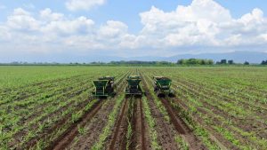 El campo colombiano es también energía