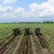 El campo colombiano es también energía