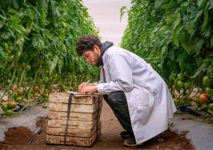 Tecnologías para una agricultura más eficiente y resiliente en el norte de Chile