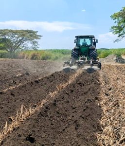 El suelo y su  importancia  para establecer estrategias de manejo que permitan tener un cultivo  altamente productivo