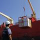 Chile avanza hacia la certificación fitosanitaria 100 % digital con China