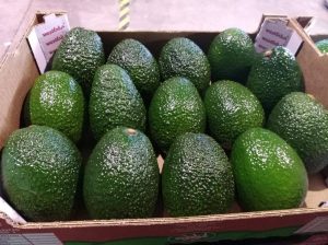 Perú y México frente a frente en el tablero global de la palta