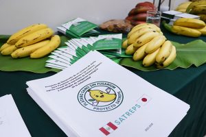 UNALM lidera proyecto internacional para desarrollar sistema de alerta temprana contra la marchitez del banano y plátano