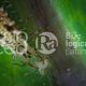 Biocontroladores: el ejército invisible y eficiente que protege los cultivos