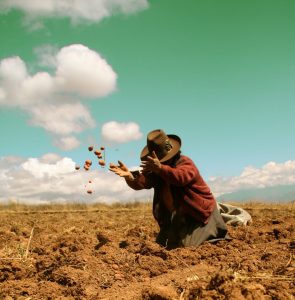 La estabilidad climática abre paso a más de 2 millones de hectáreas en la nueva campaña agrícola