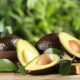 Aguacate mexicano genera 300.000 empleos y más de US$3.500 millones en exportaciones