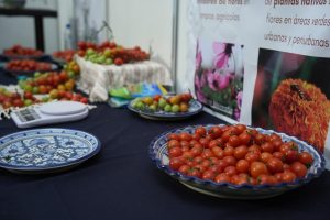 Universidad de Chapingo presentó avances en genética, agroinsumos y tecnología aplicada al campo