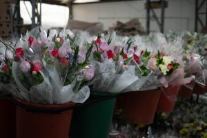 Competitividad sostenible: el verdadero valor de los bioinsumos en la floricultura colombiana