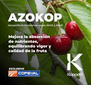 Manejos poscosecha y bionutrición del cerezo