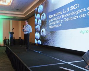 Innovación en arándanos y paltas: claves de la poscosecha discutidas en Trujillo