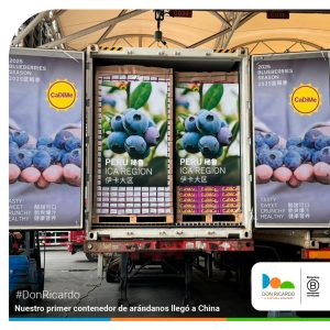 Don Ricardo llega con su primer envío de arándanos de la campaña a mercado chino