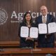 México aprobó la apertura de su mercado para naranjas chilenas