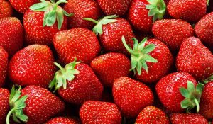 EE UU avanza con la investigación antidumping contra la fresa mexicana