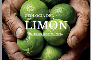 Investigación determina que el valle de San Lorenzo es ideal para la producción del limón