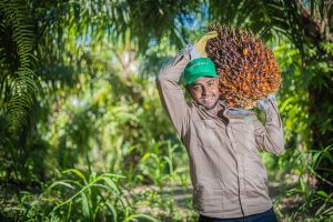 Gremca se convierte en la primera palmicultora en el mundo en certificar sus productos como libres de deforestación