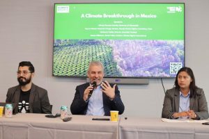 Walmart y Costco respaldan la certificación ambiental del aguacate michoacano