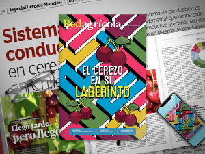 El duro camino que viene para el cerezo en una imperdible nueva edición de Redagrícola Chile