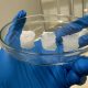 Investigadores chilenos desarrollaron un hidrogel biodegradable que mejora el riego y la fertilización de cultivos
