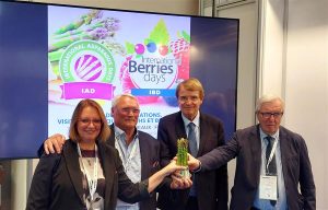 Días internacionales de espárrago y berries