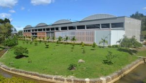 En Guarne, Antioquia inauguran planta de procesamiento para exportar pulpa y guacamole