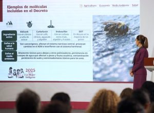 Gobierno mexicano prohíbe 35 plaguicidas de alto riesgo para la salud y el medio ambiente