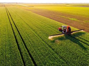 Plataforma educativa busca impulsar la agricultura regenerativa en Latinoamérica