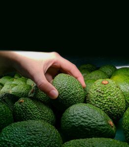 La maduración como un factor de competitividad en la industria de la palta