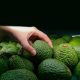 La maduración como un factor de competitividad en la industria de la palta