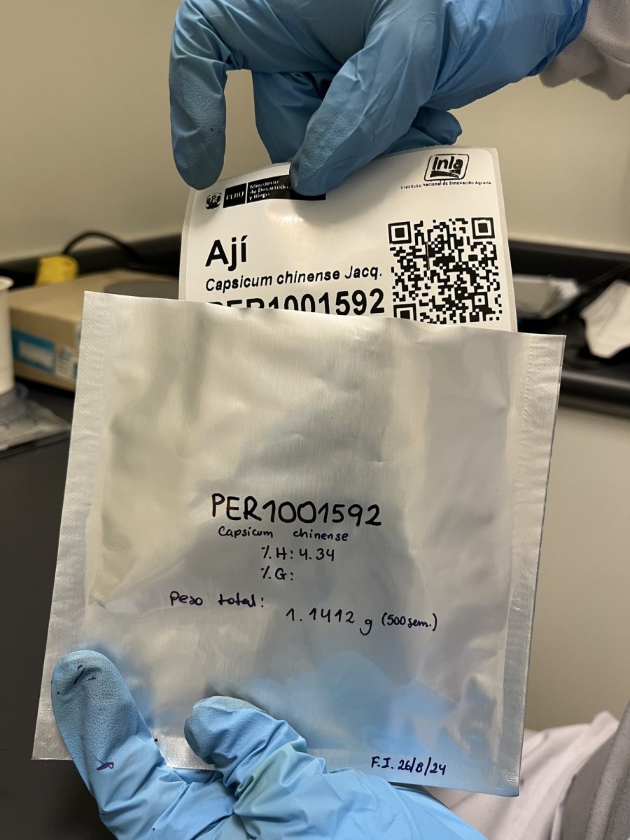 Perú depositó 25 variedades de ajíes en el “Arca de Noé” de la biodiversidad mundial