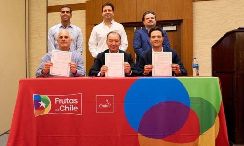 Chile, México y Perú lanzan alianza global para impulsar el consumo y sostenibilidad de la uva de mesa