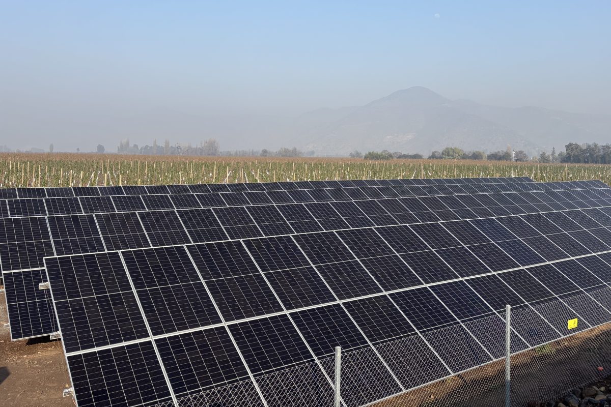 Cosechamos la energía del Sol y baja la cuenta de la luz
