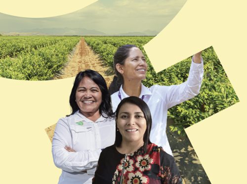 El liderazgo femenino que aprende del cambio
