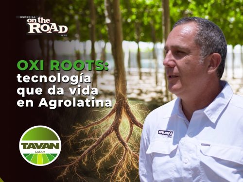 Calidad desde la raíz: TAVAN y Agrolatina apuestan por suelos vivos