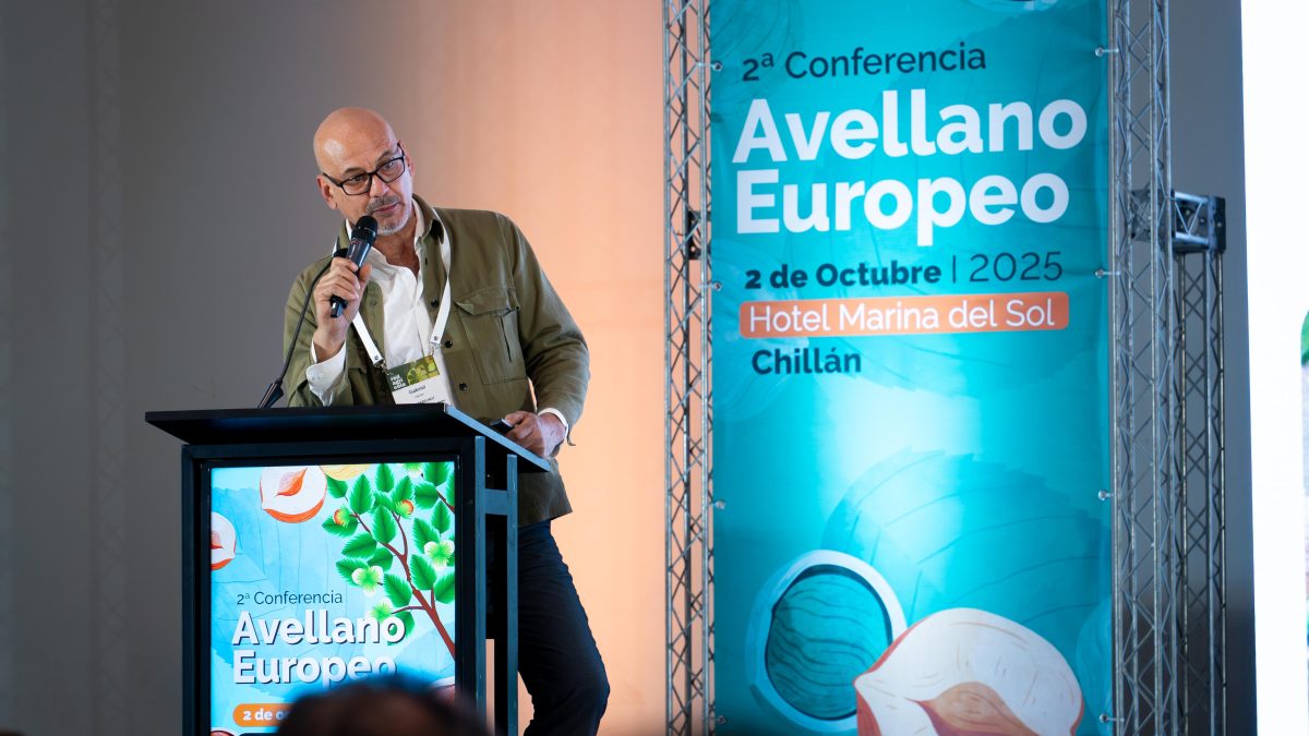"El gran desafío como país es mantener y mejorar la calidad del avellano europeo"