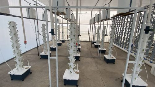 Científicos mexicanos desarrollan nuevo sistema de agricultura vertical con tecnología de vanguardia