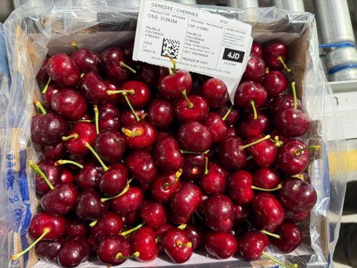 El sur le ganó al norte: cerezas ultratempranas de Colchagua marcan inicio de la temporada 2025/26