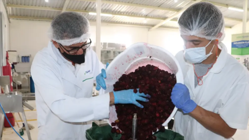 Medellín será sede del I Congreso Internacional sobre Innovaciones para la Agroindustria Rural